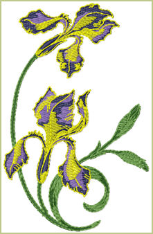 Iris emachine embroidery design